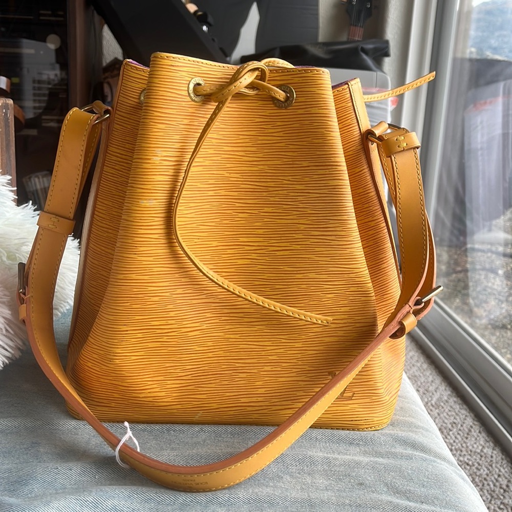 Louis Vuitton epi bag